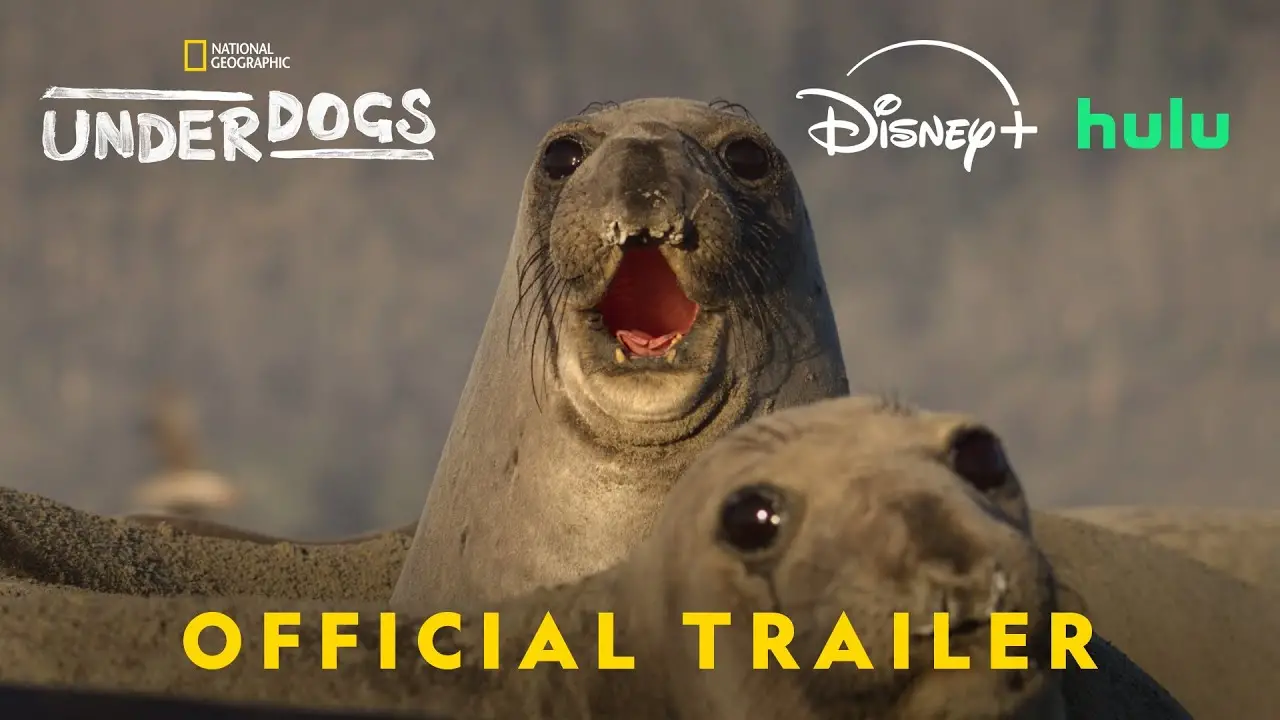 Green Day's new song, "Underdog", featured on nature show narrated by Ryan Reynolds