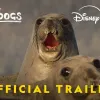 Green Day's new song, "Underdog", featured on nature show narrated by Ryan Reynolds