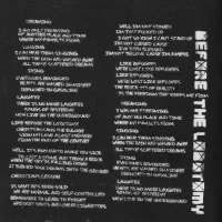 21st Century Breakdown booklet - page 7