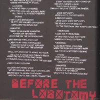 21st Century Breakdown hardcover lyric book - page 11