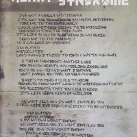 21st Century Breakdown hardcover lyric book - page 30