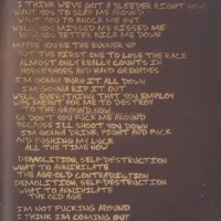 21st Century Breakdown hardcover lyric book - page 34