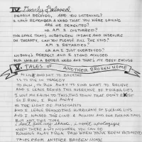 American Idiot booklet - page 5