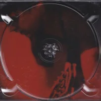 Bullet in a Bible inner sleeve