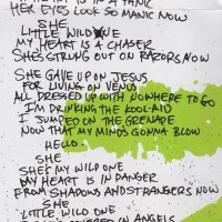 ¡Dos! - Wild One lyrics