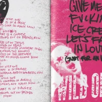 ¡Dos! hardcover lyric book - page 14-15 (Wild One)