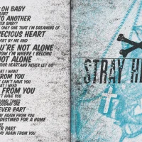 ¡Dos! hardcover lyric book - page 20-21 (Stray Heart)
