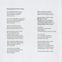 Strange Days Are Here to Stay lyrics