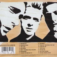 Shenanigans back cover