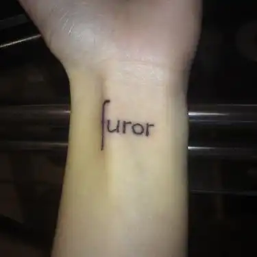 Furor text