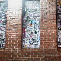 924 Gilman Street - Windows - 2025