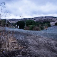 Christie Road At Dawn