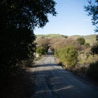 Christie Road - January 2020