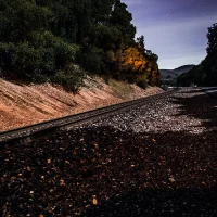 Christie Road At Night - January 2020