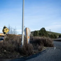 Christie Road - January 2020