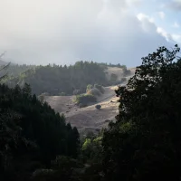 Mendocino Mountains