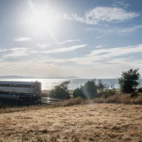 Rodeo - Train Tracks