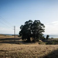 Rodeo - Lone Tree Point