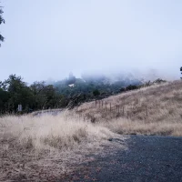 Spy Rock Road
