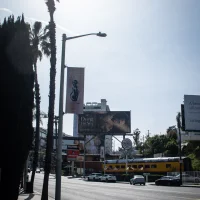 The Strip
