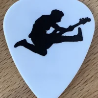 Just Dirnt It guitar pick