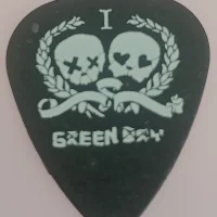 Skulls guitar pick