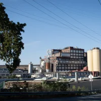 C&H Sugar Factory