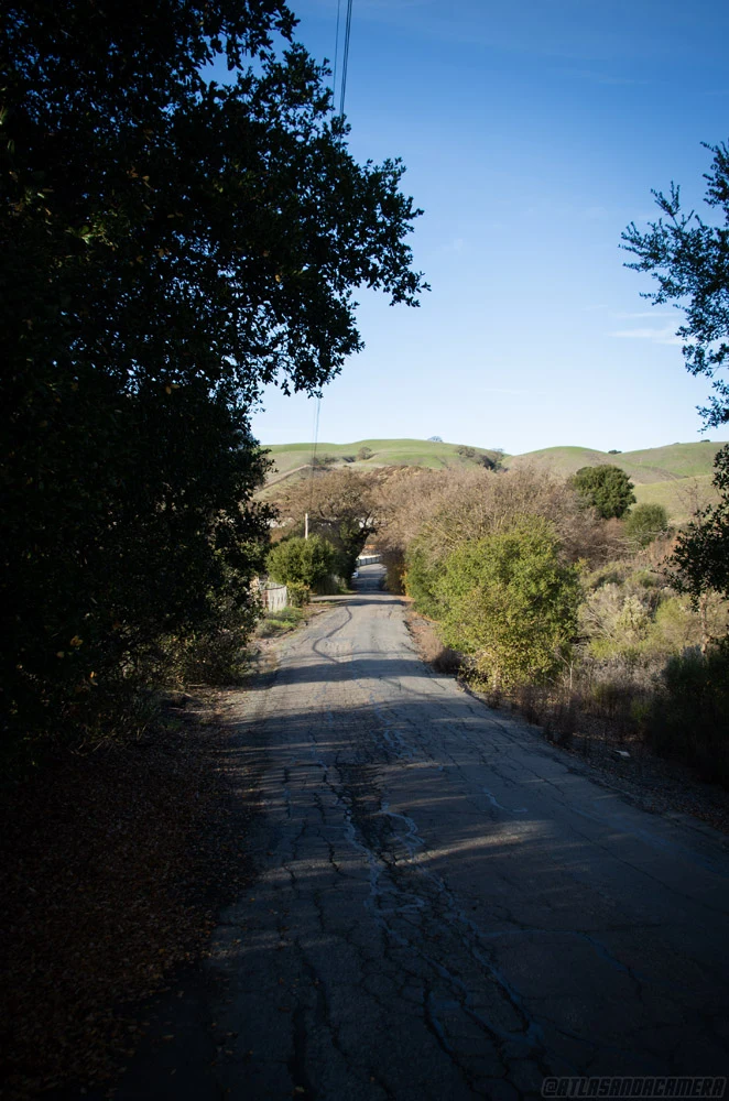Christie Road - January 2020