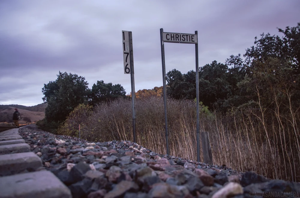 Christie Road At Dawn