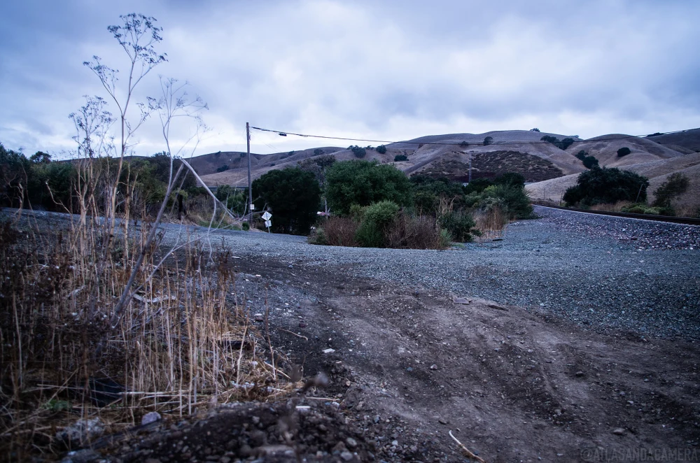 Christie Road At Dawn