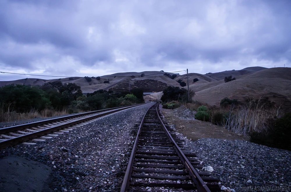 Christie Road at Dawn