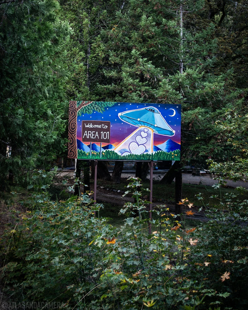 Area 101 Sign