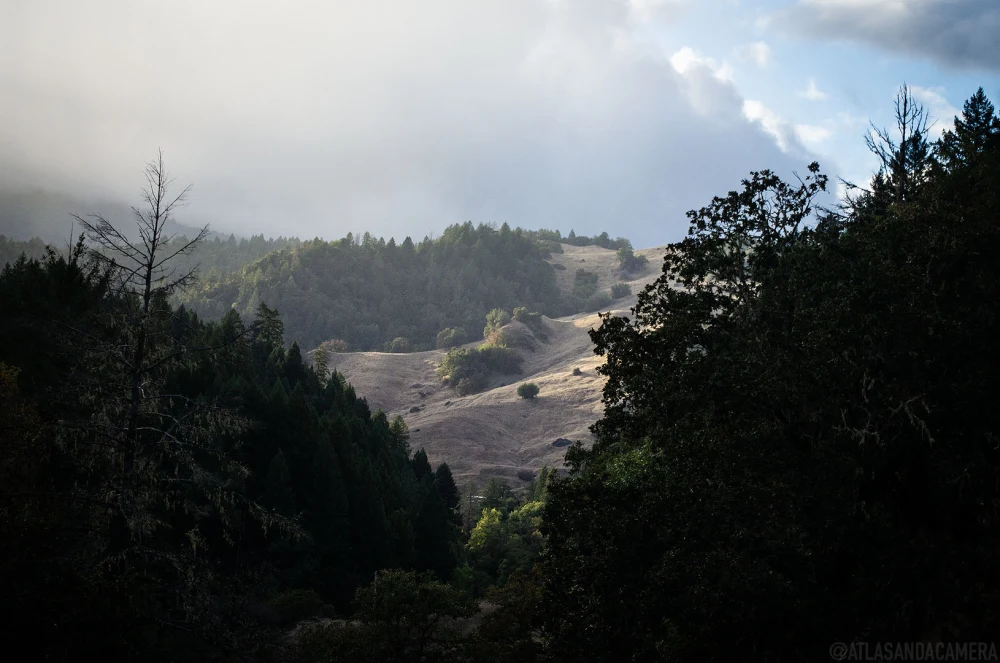 Mendocino Mountains