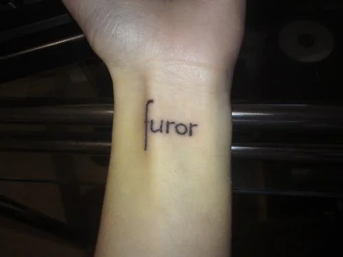 Furor text
