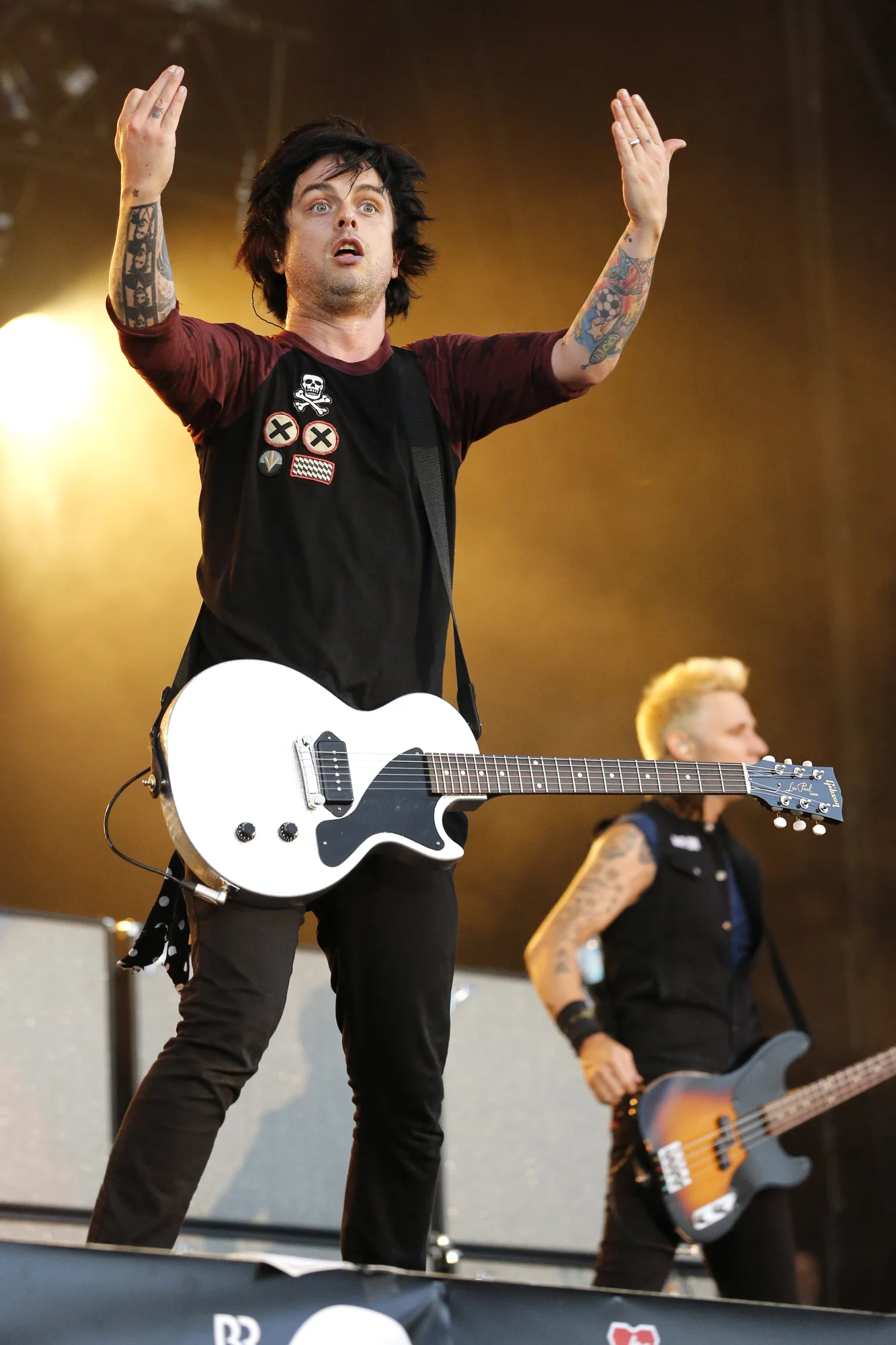 Rock im Park 2013
