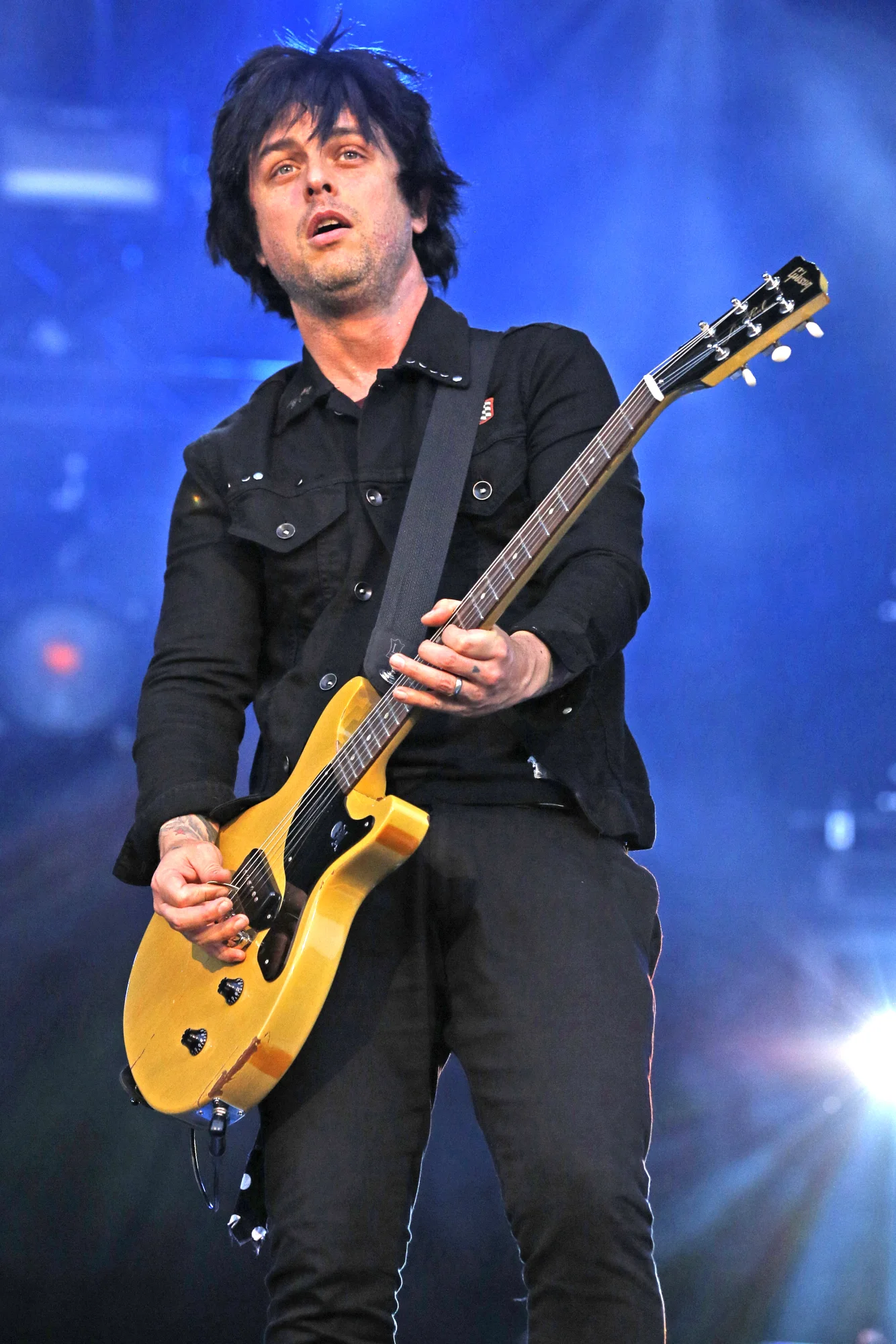 Rock im Park 2013