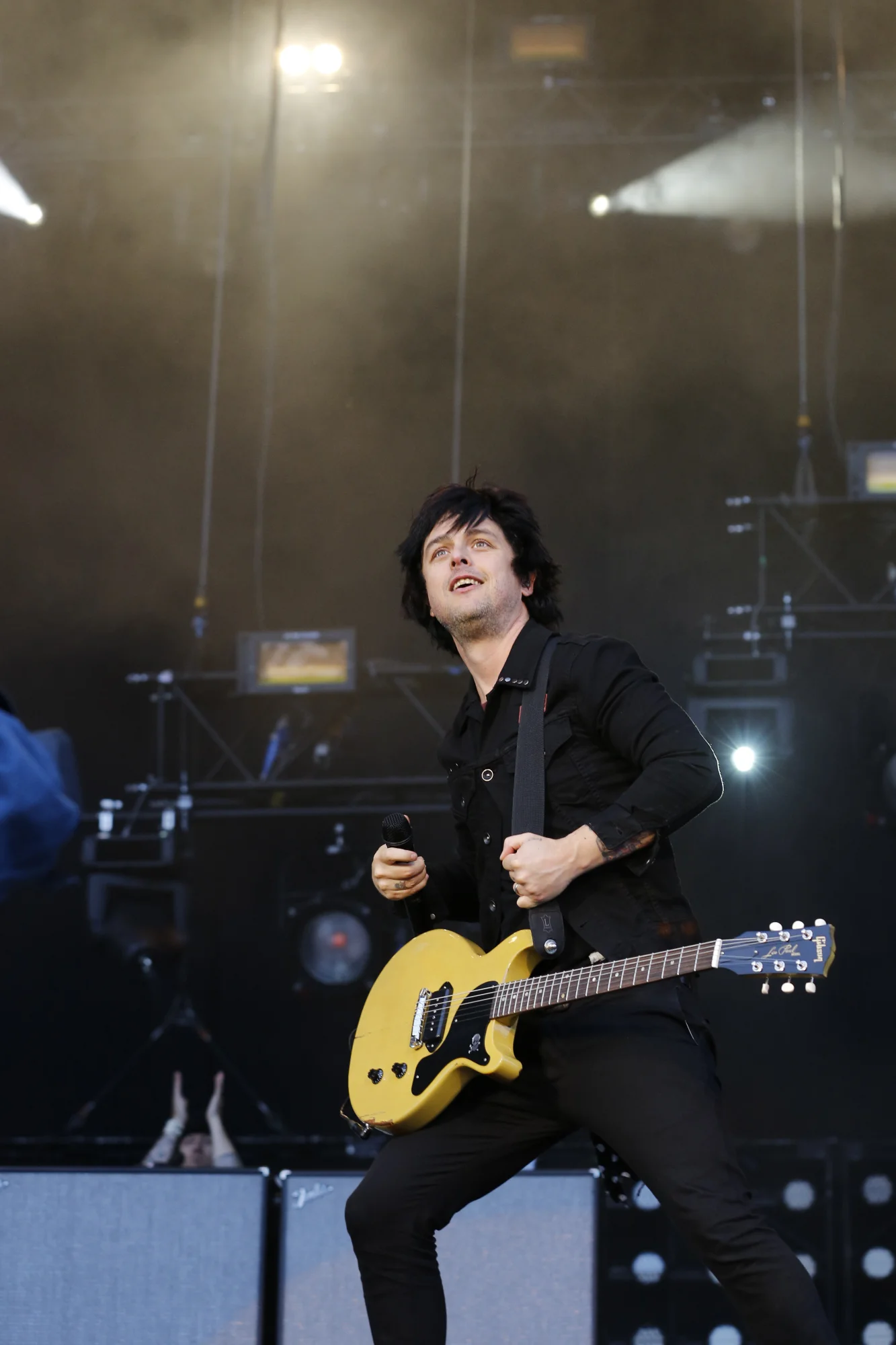 Rock im Park 2013