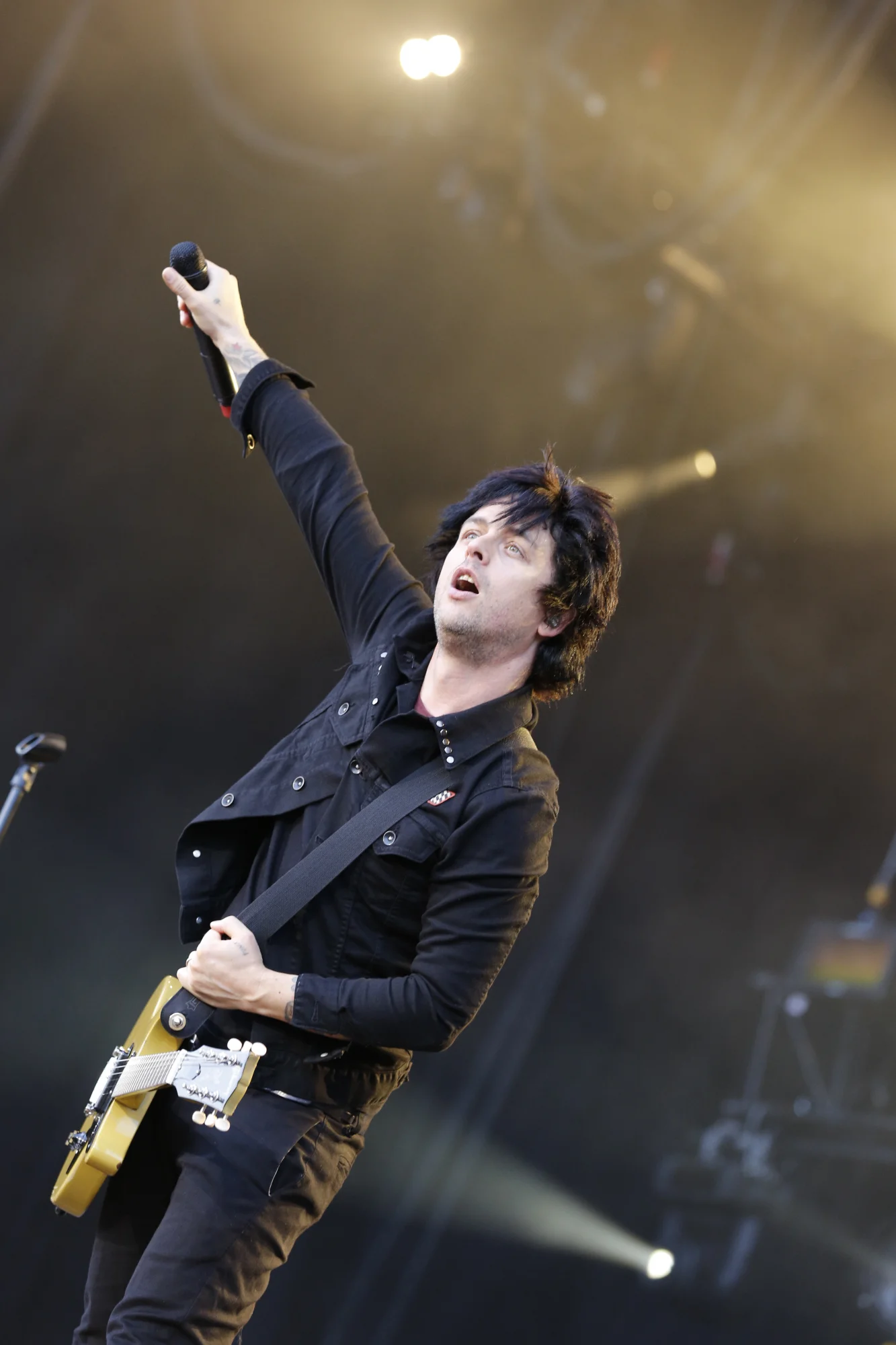 Rock im Park 2013
