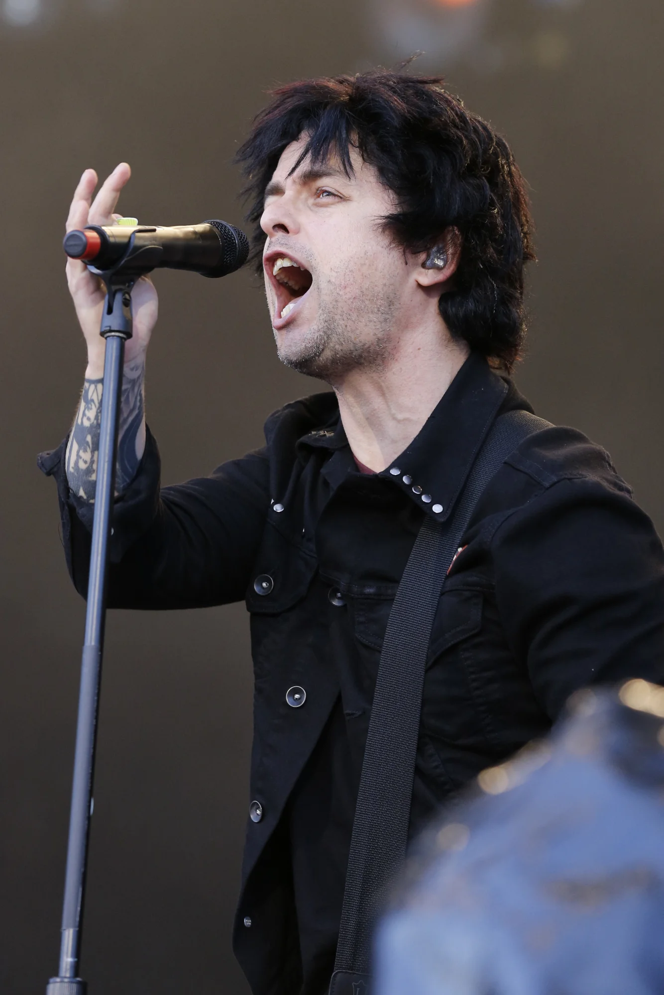 Rock im Park 2013