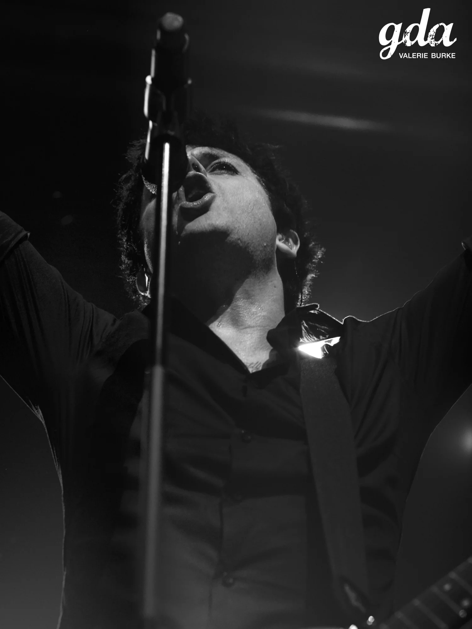 Webster Hall, New York, NY