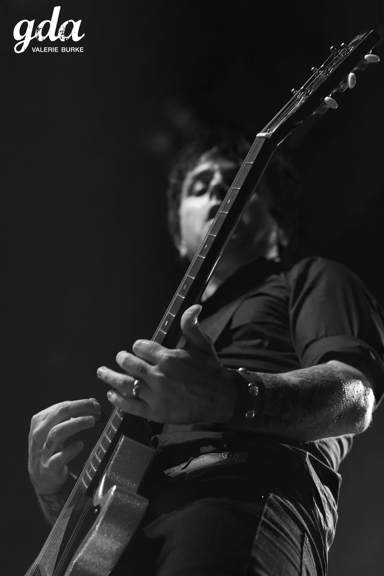 Webster Hall, New York, NY