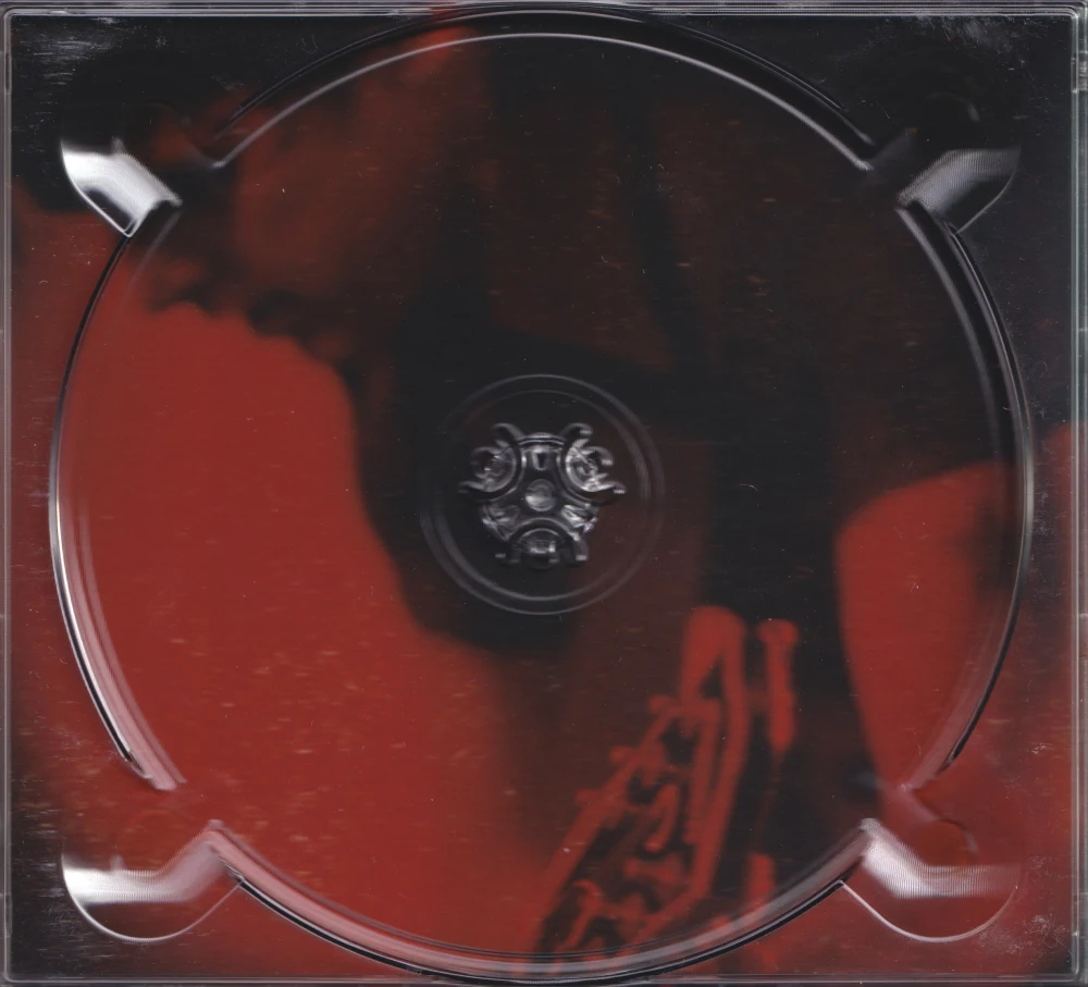Bullet in a Bible inner sleeve