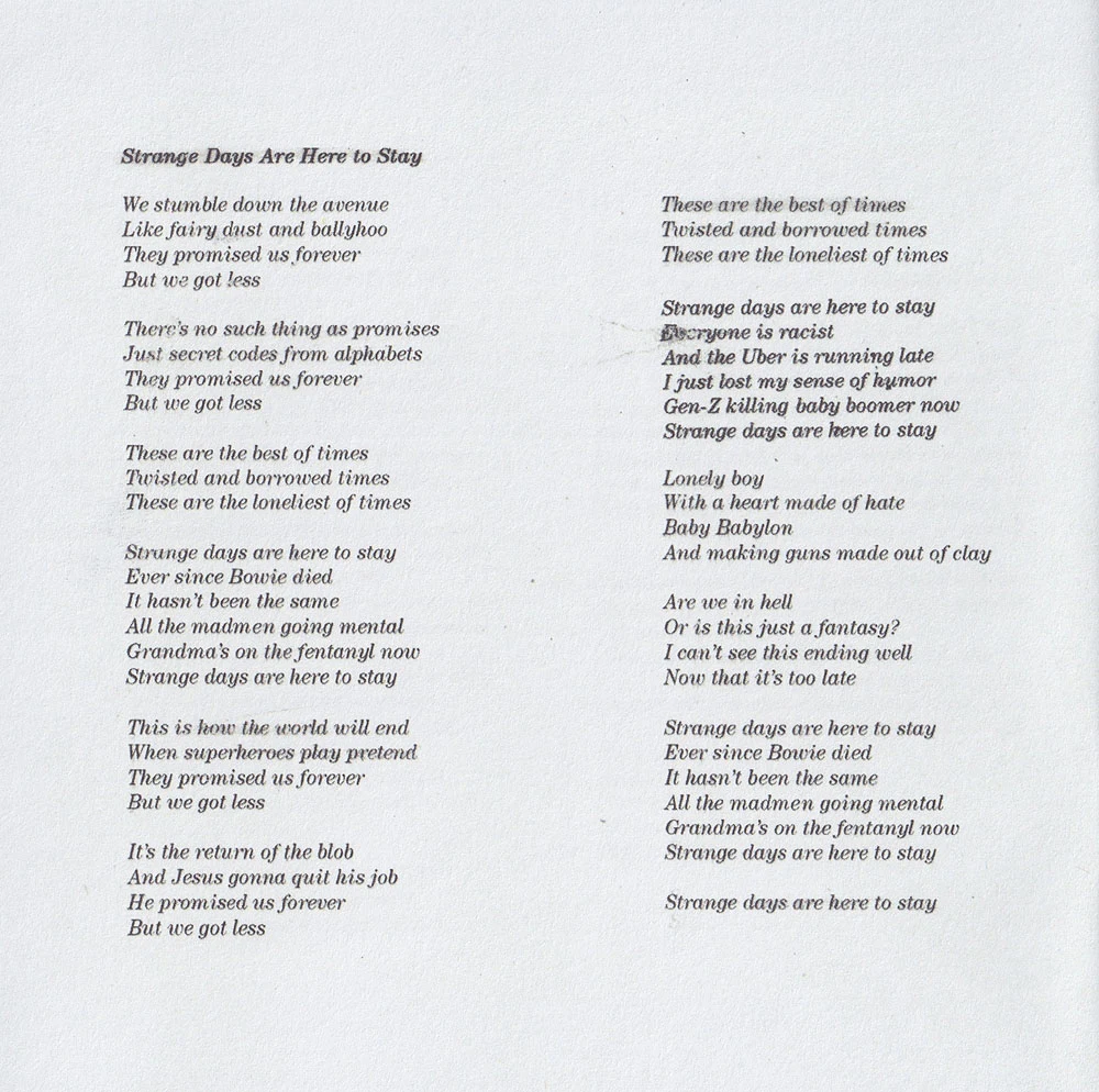 Strange Days Are Here to Stay lyrics