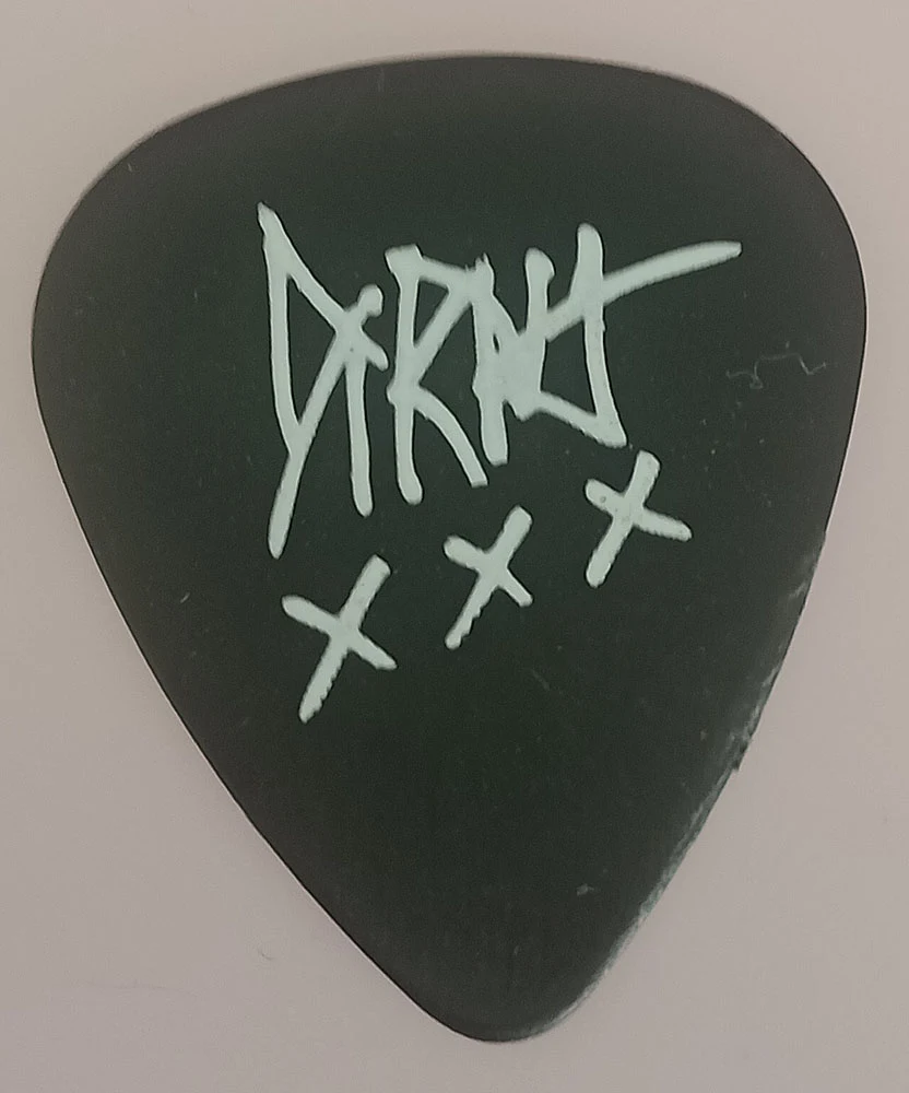 Skulls guitar pick